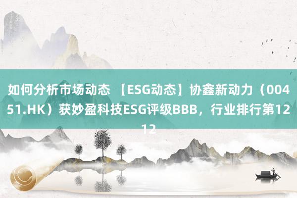 如何分析市场动态 【ESG动态】协鑫新动力（00451.HK）获妙盈科技ESG评级BBB，行业排行第12